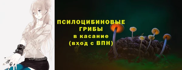 герыч Новозыбков