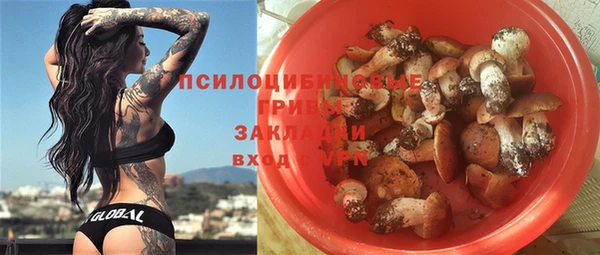 молекула духа Новодвинск